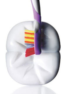 ����� ����� ����� ������� الع%D